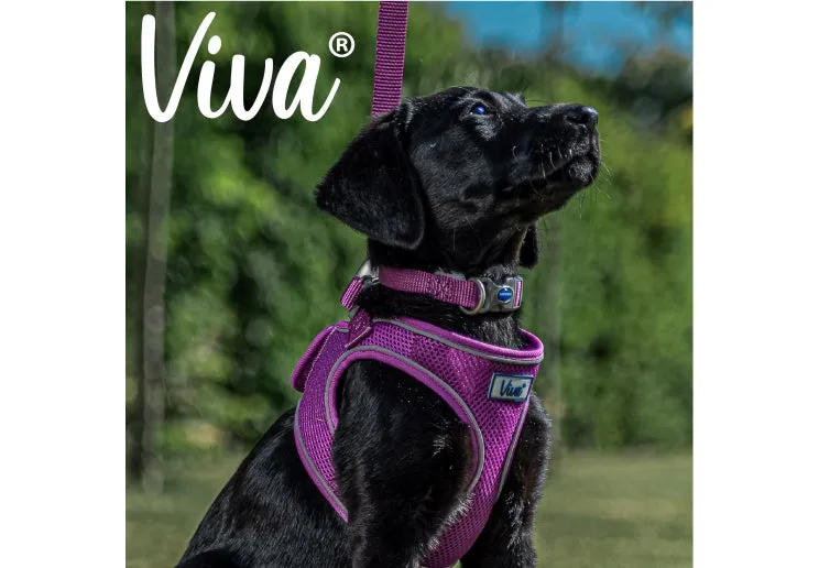 Ancol - Viva Nylon Adjustable Collar - Black - Large (45-70cm)