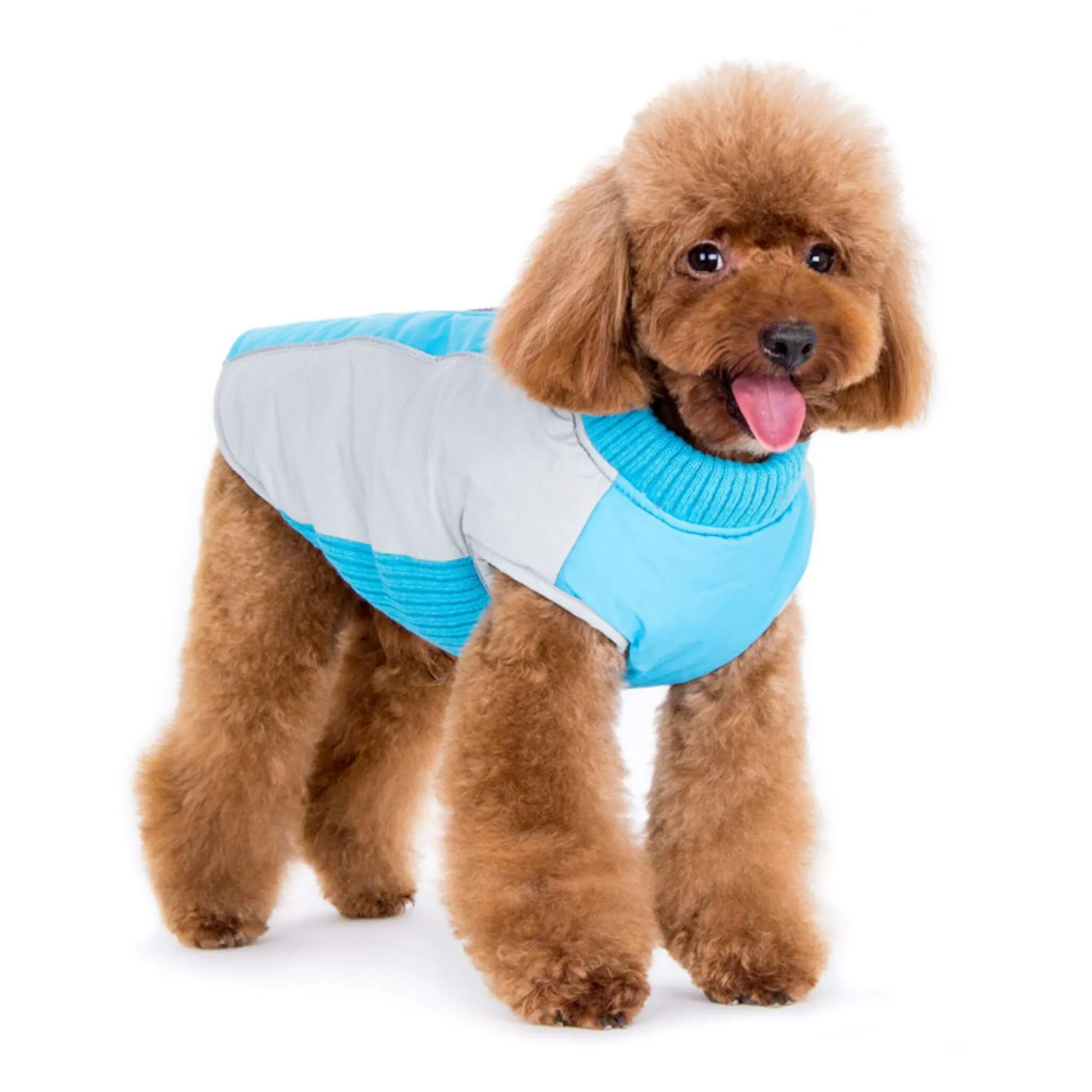 Mountain Hiker Dog Coat