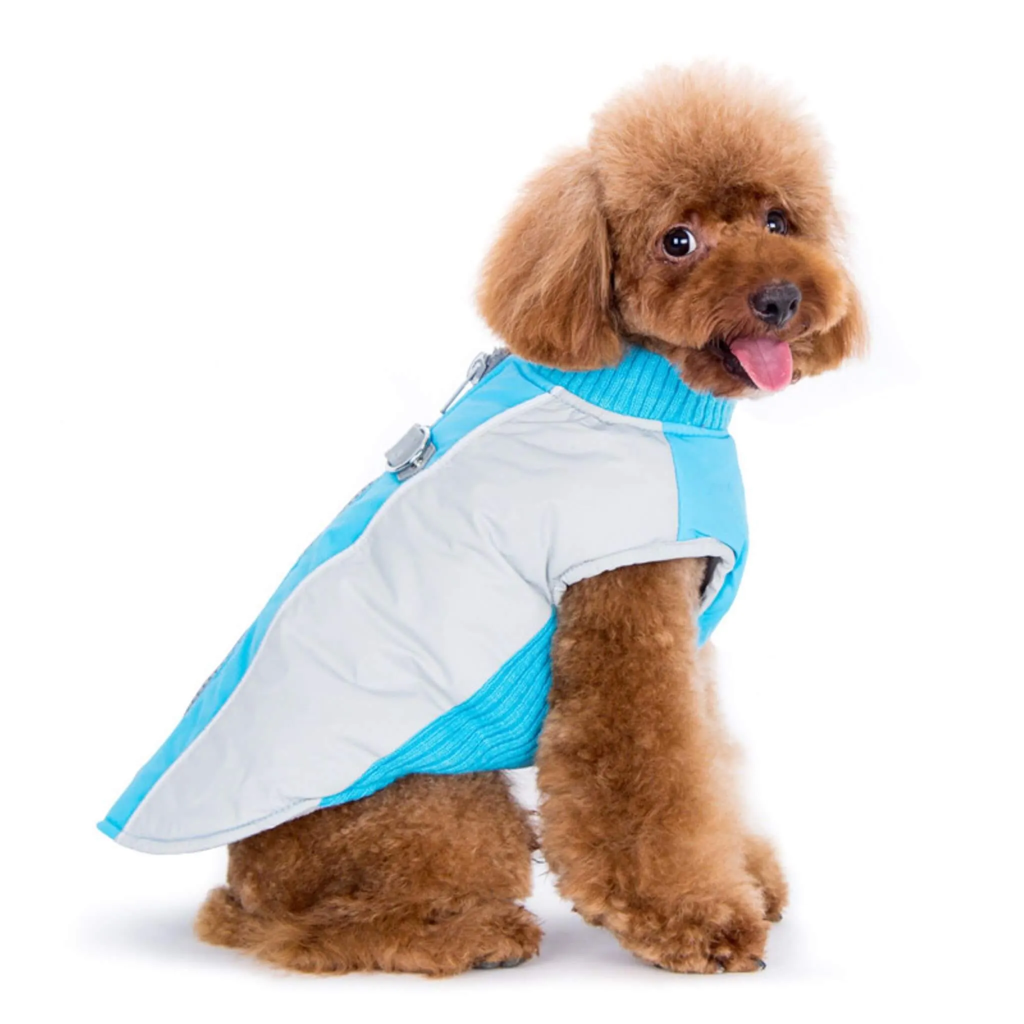 Mountain Hiker Dog Coat