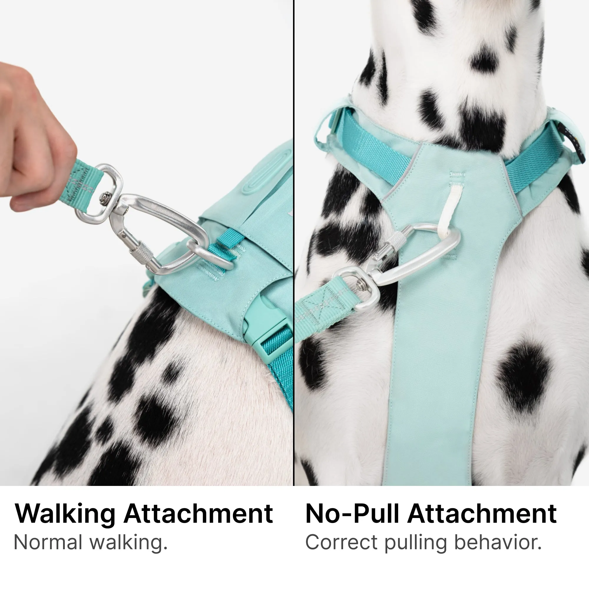 Pet Harness with Pocket