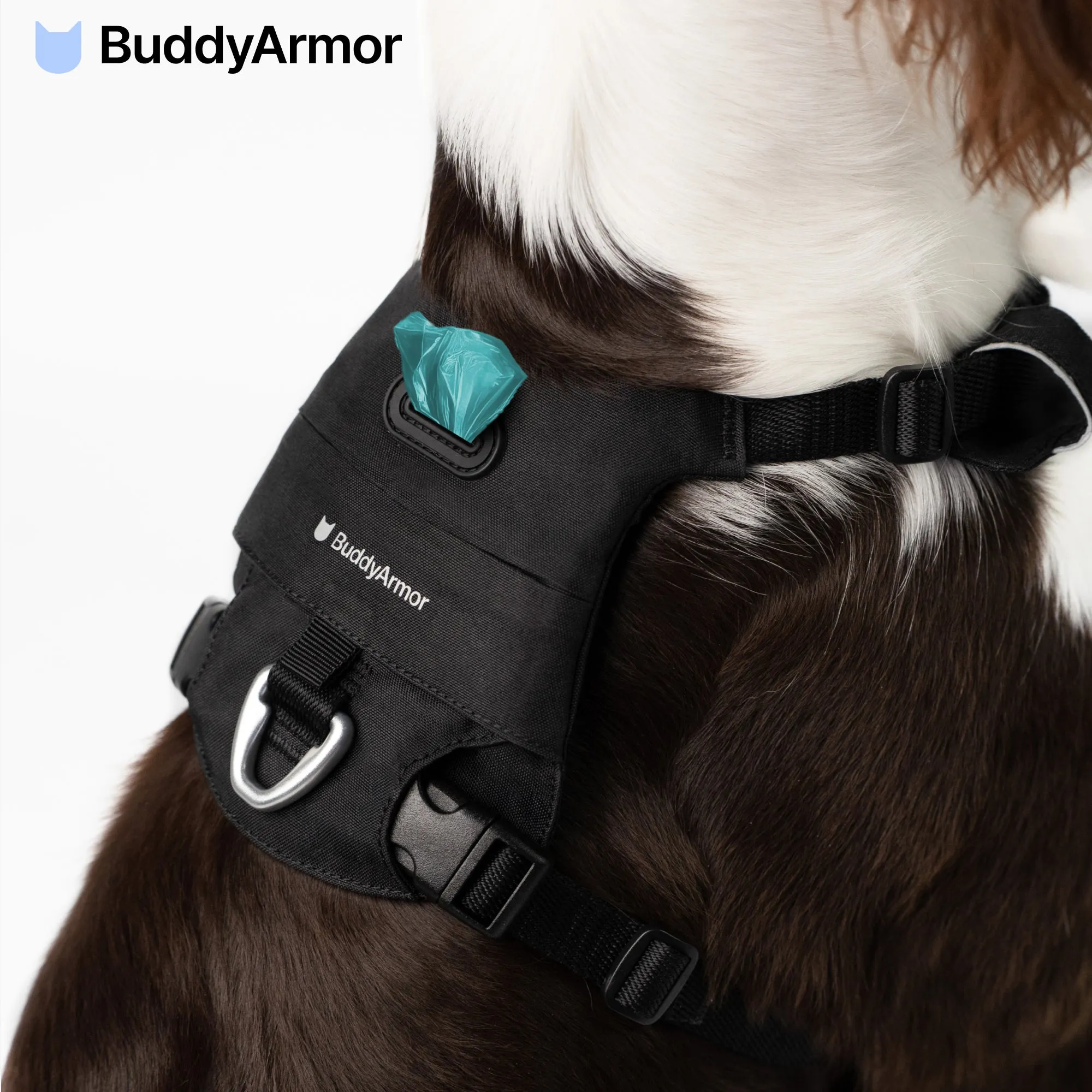 Pet Harness with Pocket