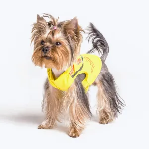 Waterproof yellow suit for small breeds of dogs