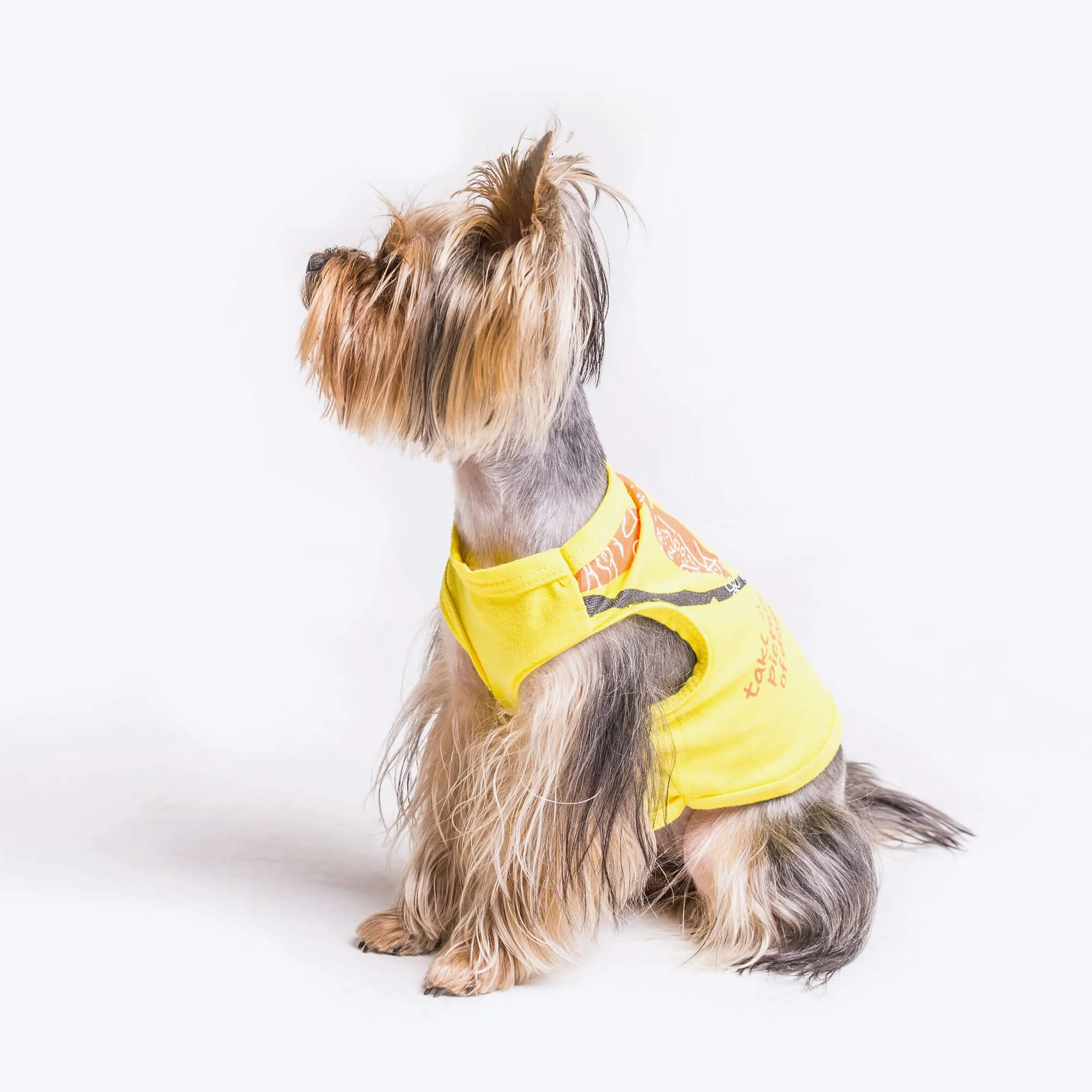 Waterproof yellow suit for small breeds of dogs